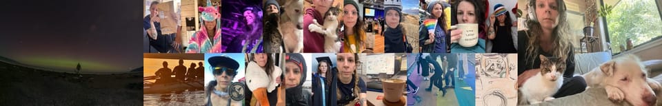 who is tiny forest collective